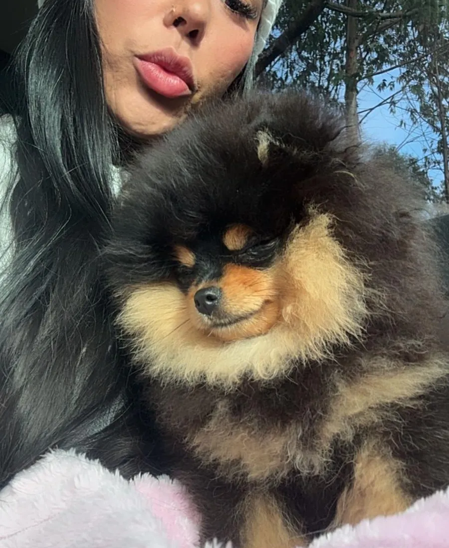 Nathy sentada en el suelo de la sala rodeada por dos pomeranias adultas